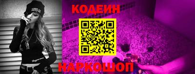 индика Сланцы