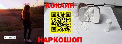 индика Сланцы