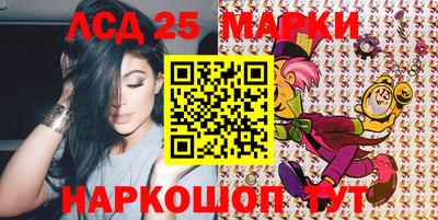 индика Сланцы