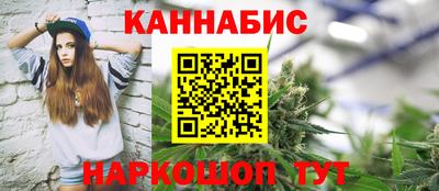 индика Сланцы