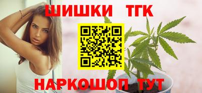индика Сланцы