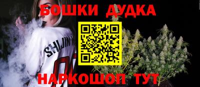 индика Сланцы