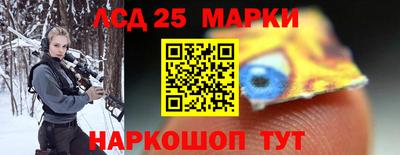 индика Сланцы
