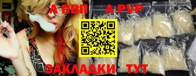 индика Сланцы