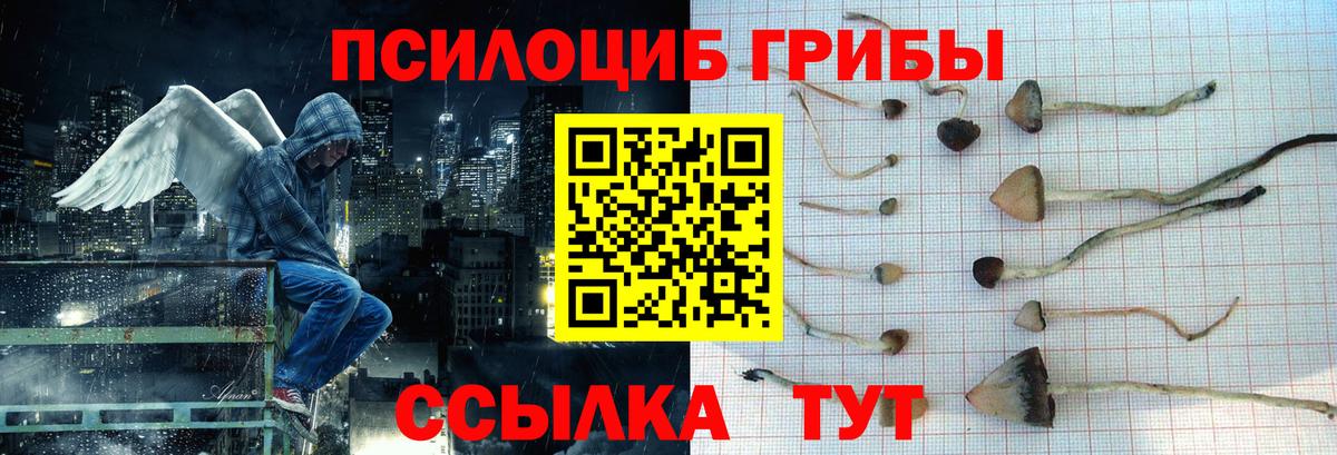 Галлюциногенные грибы GOLDEN TEACHER  Псилоцибиновые грибы ЛСД  Усть-Лабинск  Вход с VPN 