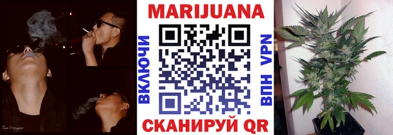 Шишки марихуана планчик  Усть-Лабинск 